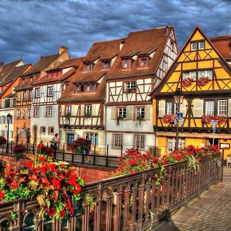Appartement Climatise 70 M2, Proximite De Colmar Sainte-Croix-en-Plaine Eksteriør billede