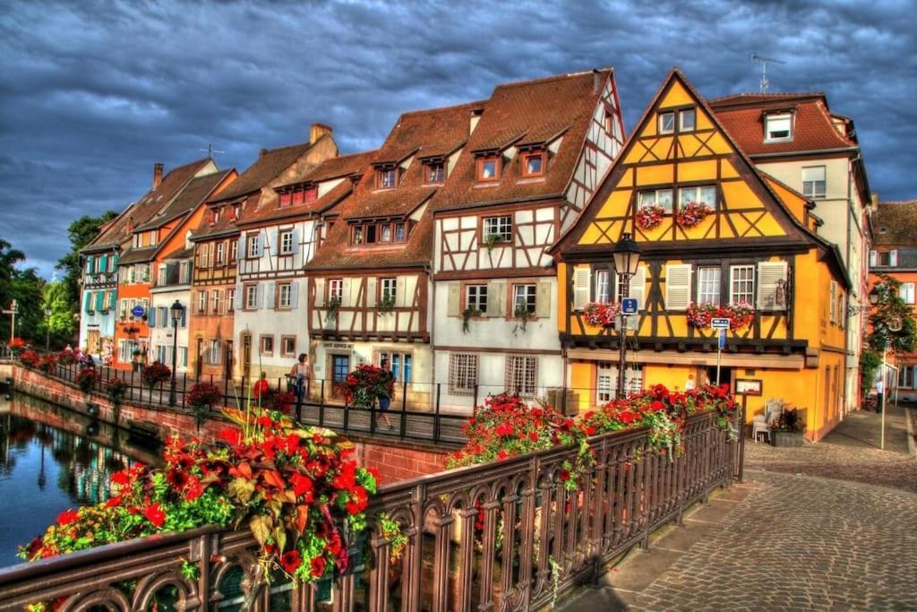 Appartement Climatise 70 M2, Proximite De Colmar Sainte-Croix-en-Plaine Eksteriør billede