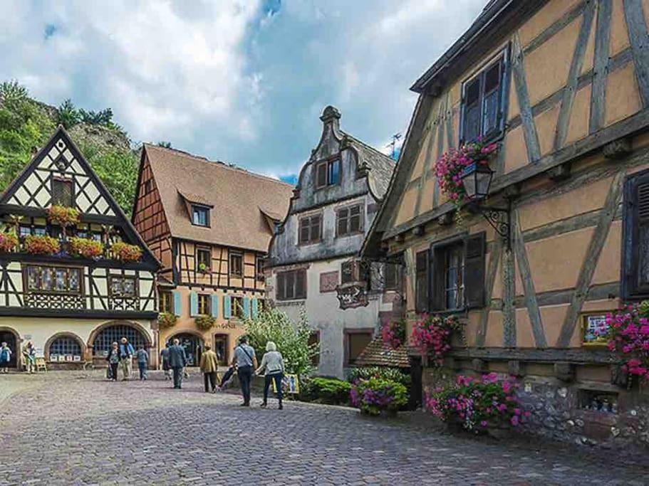 Appartement Climatise 70 M2, Proximite De Colmar Sainte-Croix-en-Plaine Eksteriør billede