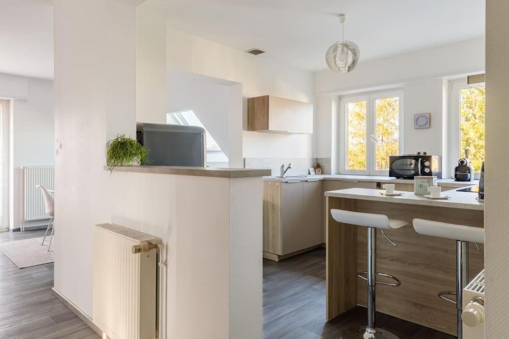 Appartement Climatise 70 M2, Proximite De Colmar Sainte-Croix-en-Plaine Eksteriør billede