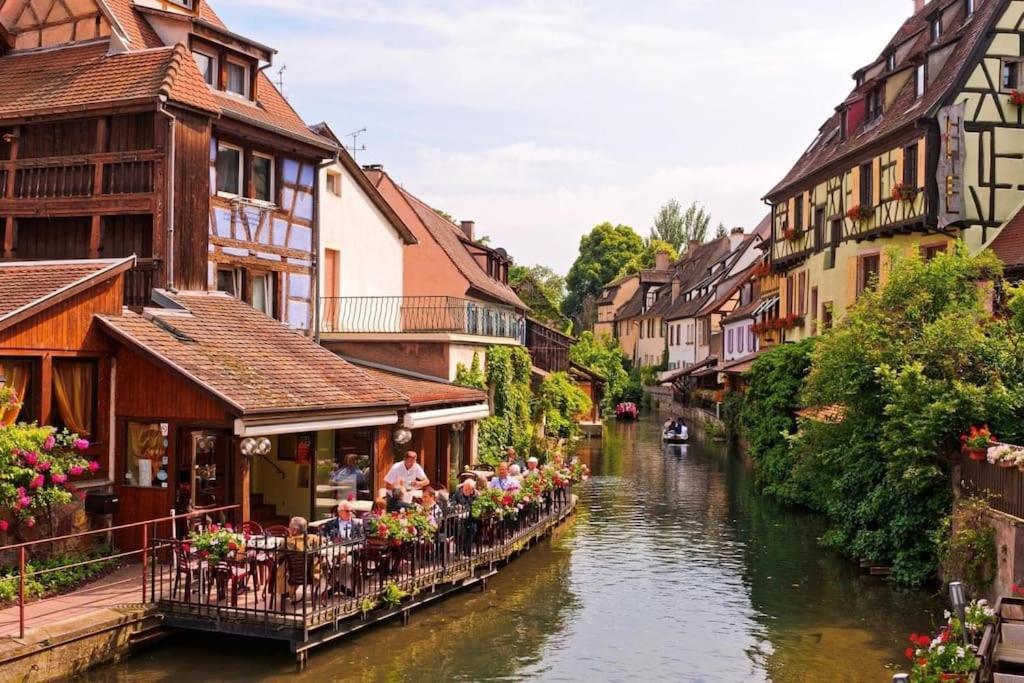 Appartement Climatise 70 M2, Proximite De Colmar Sainte-Croix-en-Plaine Eksteriør billede