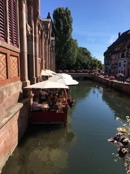 Appartement Climatise 70 M2, Proximite De Colmar Sainte-Croix-en-Plaine Eksteriør billede